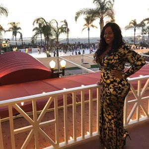 Beautiful Holiday Dress 1x